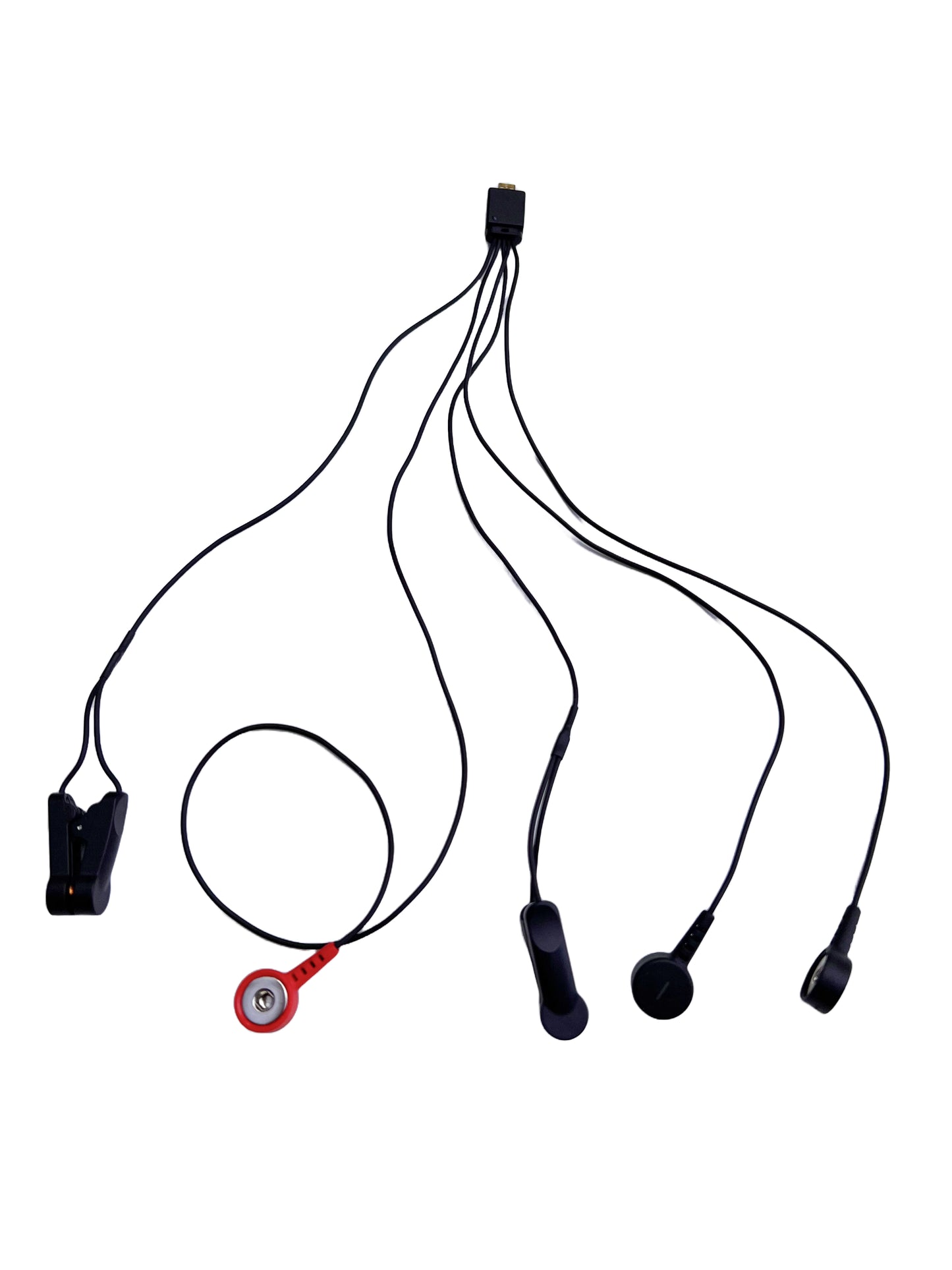 Synchroni Trio EEG Cables