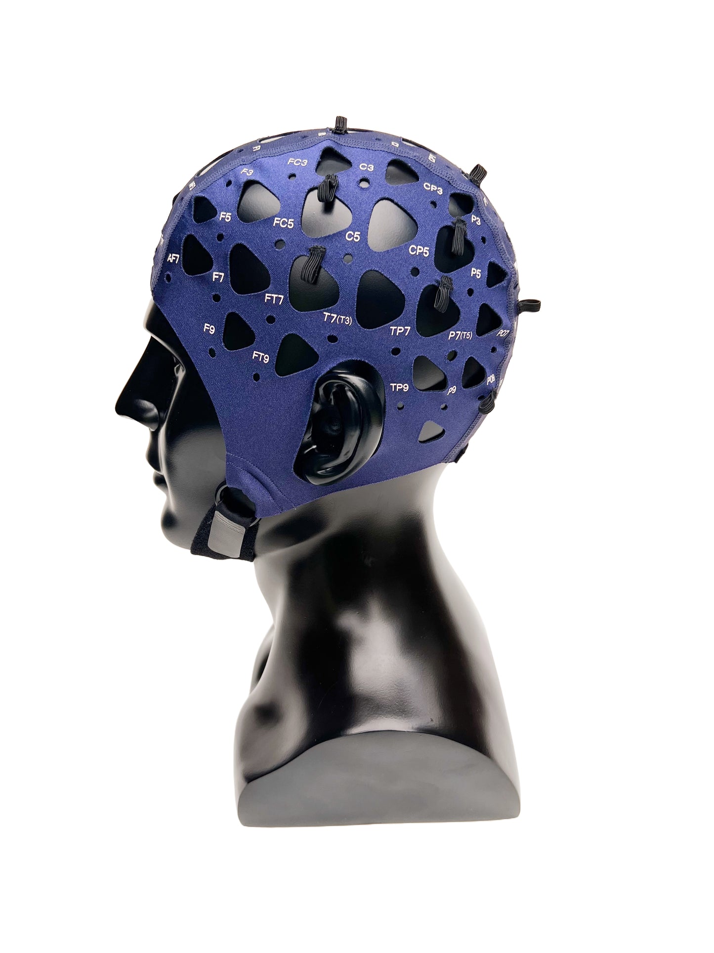 10-10 EEG Cap